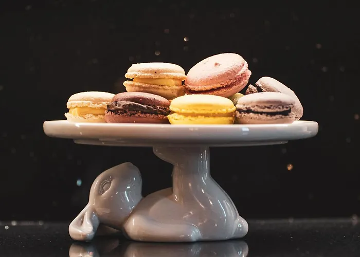 דירה Fall In With