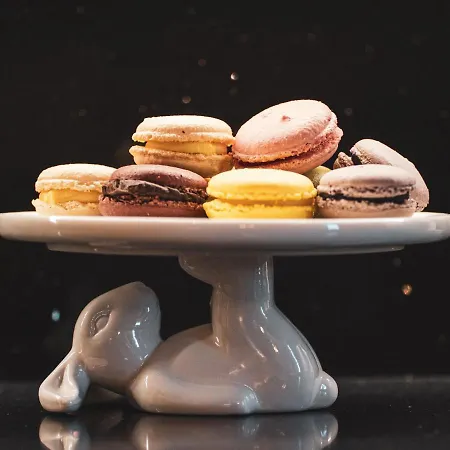 Διαμέρισμα Fall In With