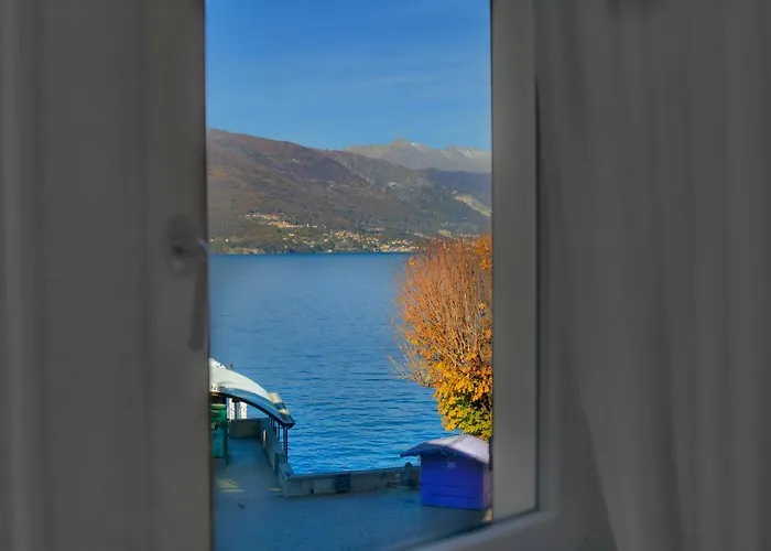 Fall In With Bellano