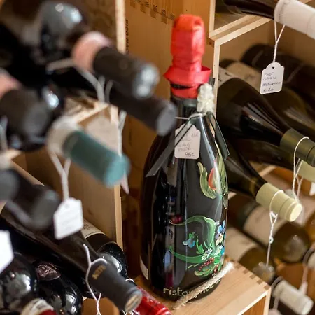 Fall In With Appartement *