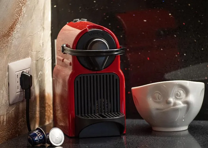 Fall In With 아파트 벨라노